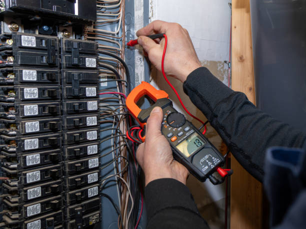 Best Home Electrical Repair  in Mascot, TN